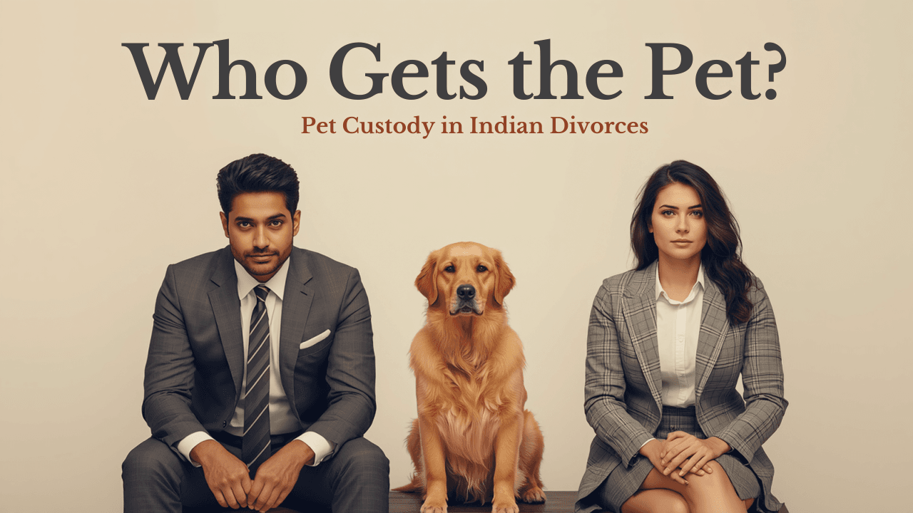 Who gets the pet? Pet Custody in Indian Matrimonial Disputes